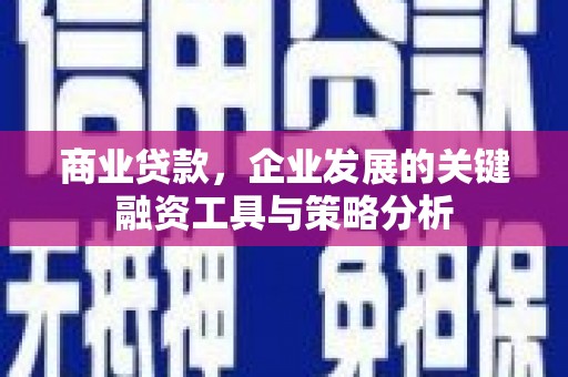 八宿商业贷款，企业发展的关键融资工具与策略分析