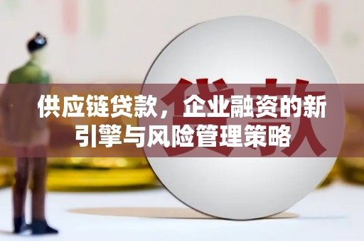 八宿供应链贷款，企业融资的新引擎与风险管理策略