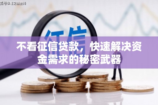 八宿不看征信贷款，快速解决资金需求的秘密武器