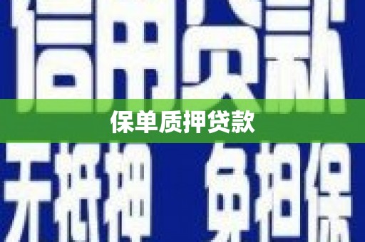 八宿保单质押贷款