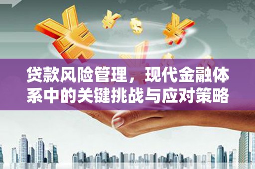 八宿贷款风险管理，现代金融体系中的关键挑战与应对策略