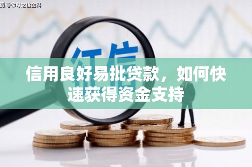 八宿信用良好易批贷款，如何快速获得资金支持