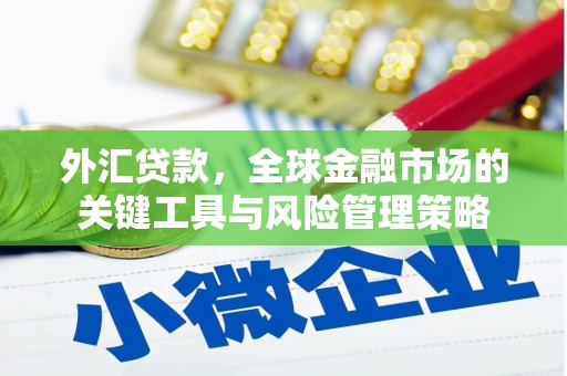 八宿外汇贷款，全球金融市场的关键工具与风险管理策略