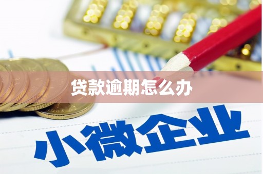 八宿贷款逾期怎么办