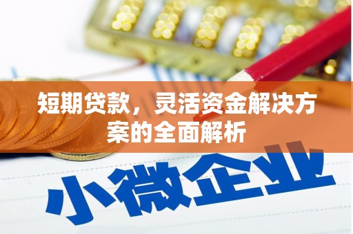 八宿短期贷款，灵活资金解决方案的全面解析