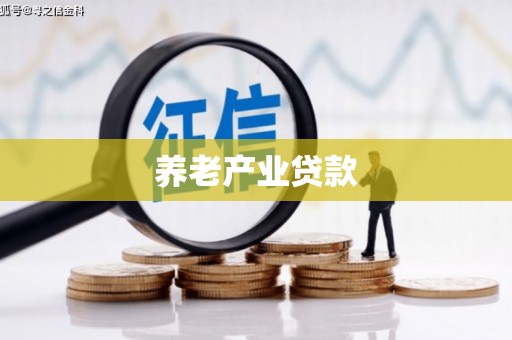 八宿养老产业贷款