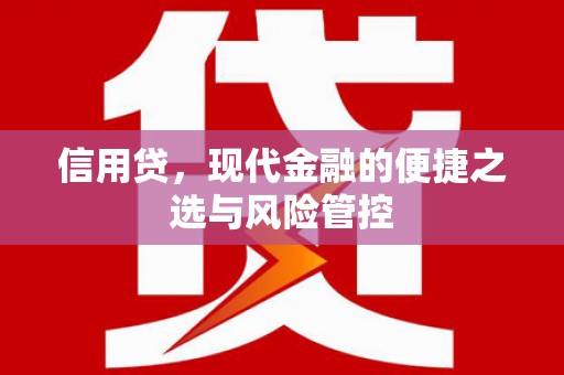 八宿信用贷，现代金融的便捷之选与风险管控