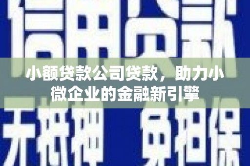 八宿小额贷款公司贷款，助力小微企业的金融新引擎