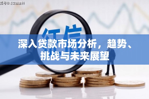 八宿深入贷款市场分析，趋势、挑战与未来展望