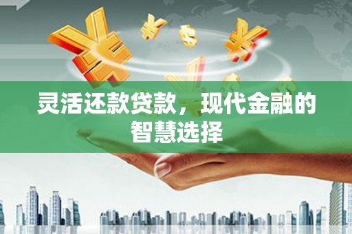 八宿灵活还款贷款，现代金融的智慧选择