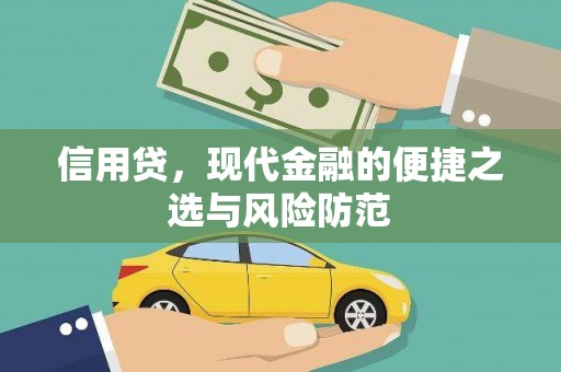 八宿信用贷，现代金融的便捷之选与风险防范
