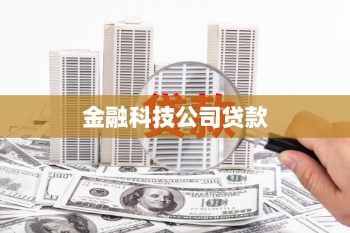 八宿金融科技公司贷款