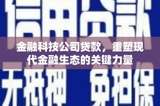 八宿金融科技公司贷款，重塑现代金融生态的关键力量