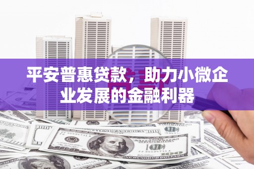 八宿平安普惠贷款，助力小微企业发展的金融利器