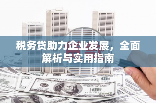 八宿税务贷助力企业发展，全面解析与实用指南