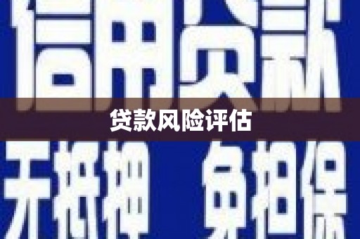 八宿贷款风险评估
