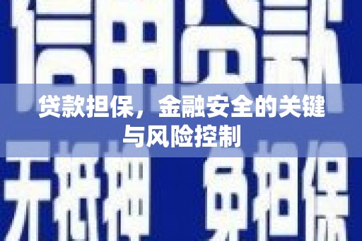 八宿贷款担保，金融安全的关键与风险控制