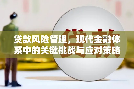 八宿贷款风险管理，现代金融体系中的关键挑战与应对策略