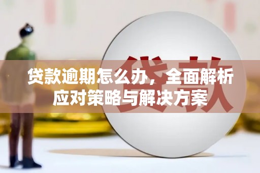 八宿贷款逾期怎么办，全面解析应对策略与解决方案