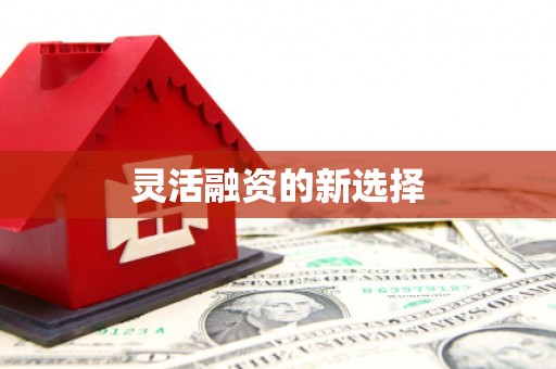 八宿灵活融资的新选择