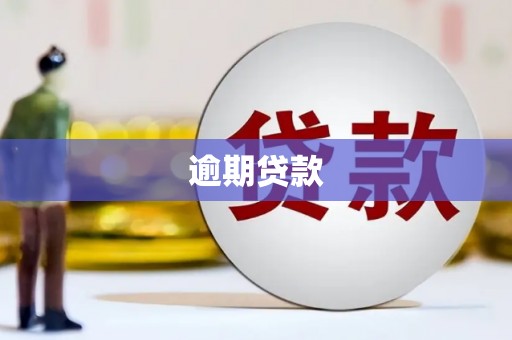 八宿逾期贷款