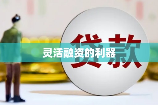 八宿灵活融资的利器