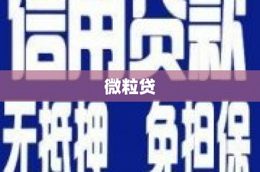 八宿微粒贷