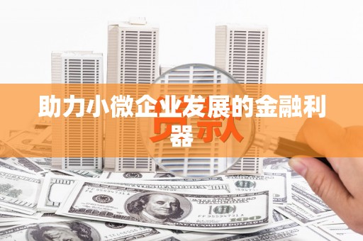 八宿助力小微企业发展的金融利器
