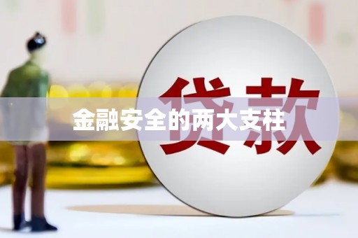 八宿金融安全的两大支柱