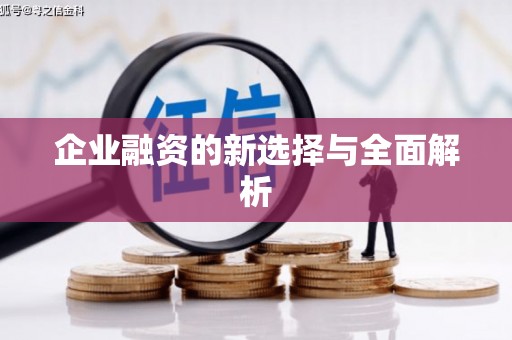 八宿企业融资的新选择与全面解析