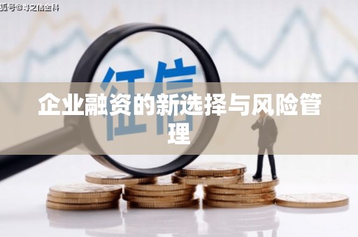 八宿企业融资的新选择与风险管理