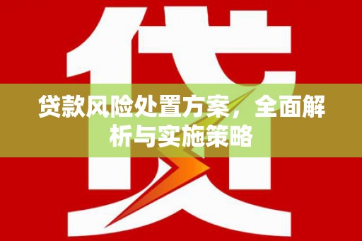 八宿贷款风险处置方案，全面解析与实施策略