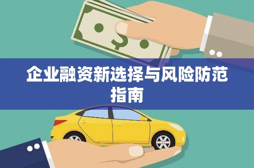 八宿企业融资新选择与风险防范指南