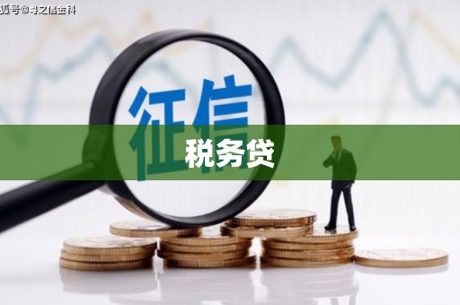 八宿税务贷