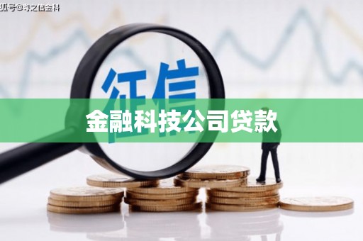 八宿金融科技公司贷款