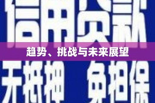 八宿趋势、挑战与未来展望