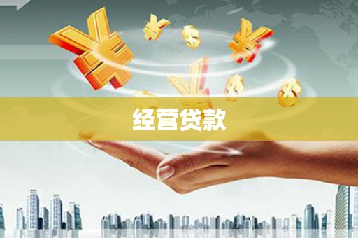 八宿经营贷款
