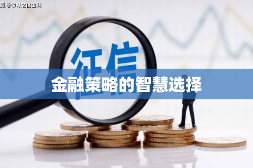 八宿金融策略的智慧选择