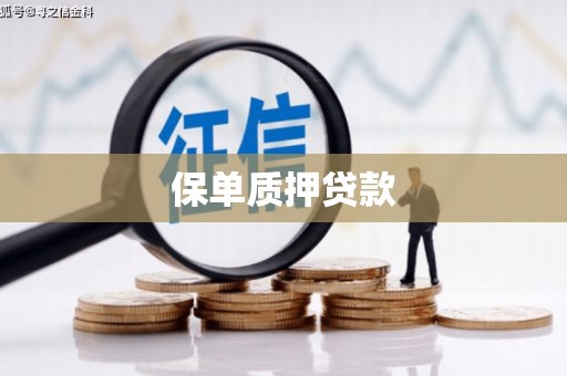 八宿保单质押贷款