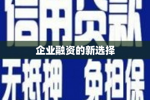 八宿企业融资的新选择
