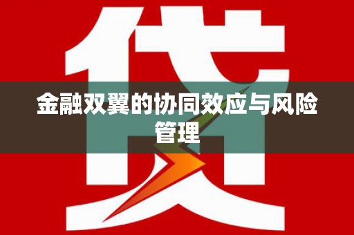 八宿金融双翼的协同效应与风险管理