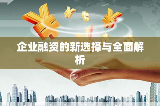 八宿企业融资的新选择与全面解析