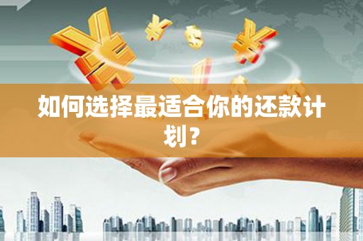 八宿如何选择最适合你的还款计划？
