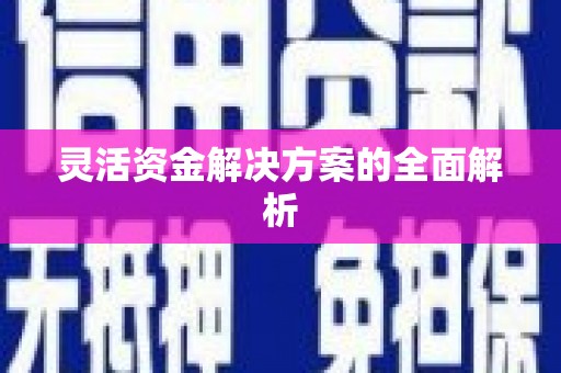 八宿灵活资金解决方案的全面解析