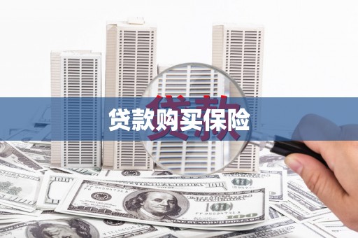 八宿贷款购买保险