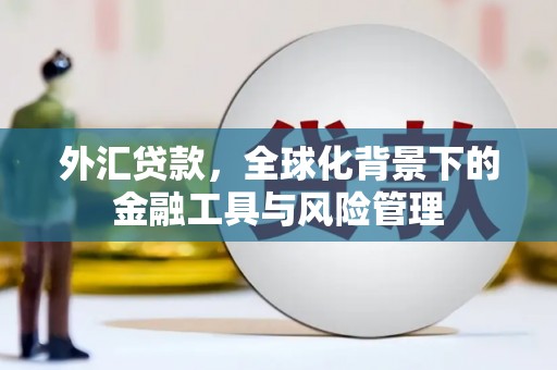 八宿外汇贷款，全球化背景下的金融工具与风险管理